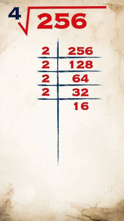 4th Root Of 256