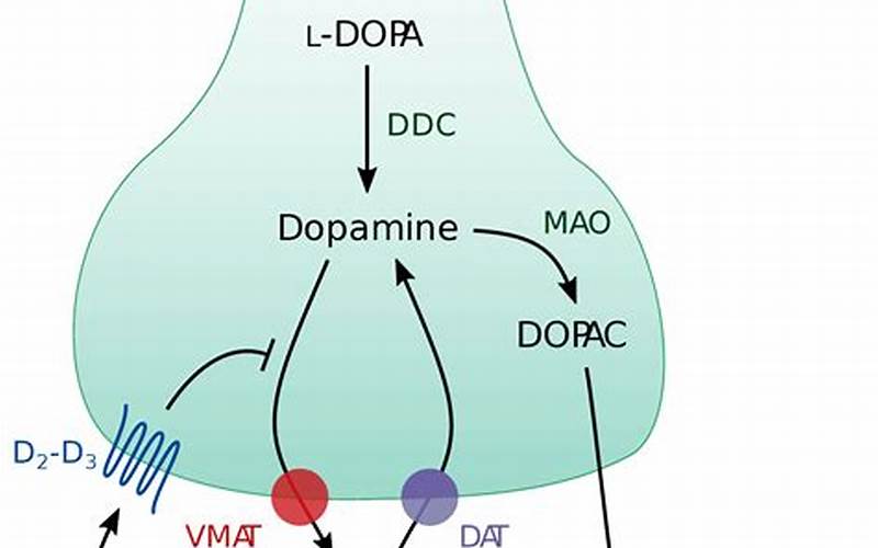 5 Allosteriska Antagonistiska Dopaminreceptorer