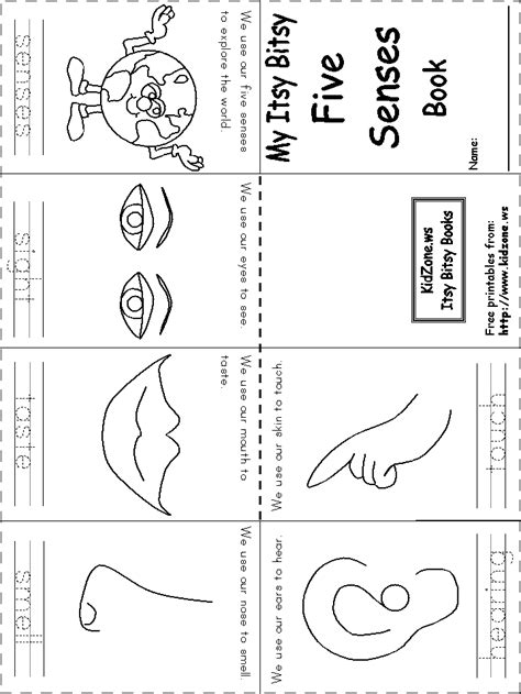 5 Senses Printable Book