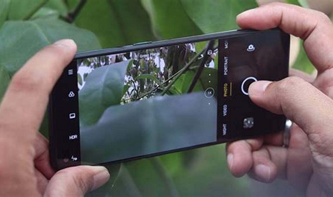 5 Smartphone Terbaik dengan Fitur Pro Mode untuk Pengaturan Kamera Manual
