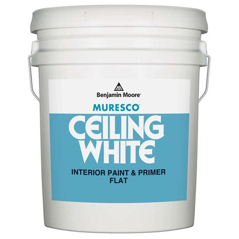 Valspar 11600 Flat Interior Professional Series Paint 5 Gallon White