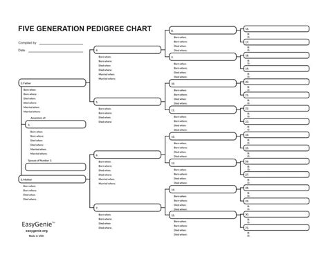 5 Generation Large Print Pedigree Chart for Adoptees and Family Member