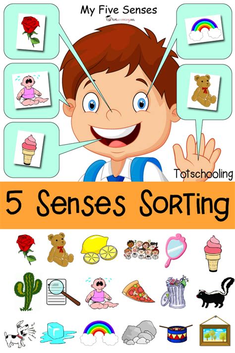 Cartoon sensory organs. Senses organs, eyes vision, nose smell, tongue
