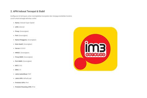 5 . INDOSAT 3 APN context