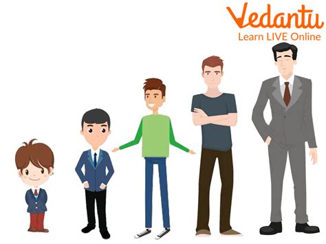 5 Arrange in classical height order