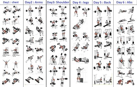 5 Bodybuilding Programs