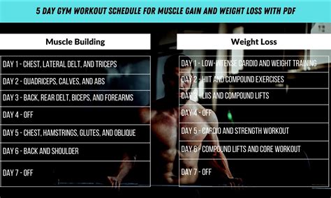 5 Day Workout Routines To Build Muscle