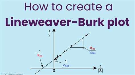 Lineweaver-Burk Plot