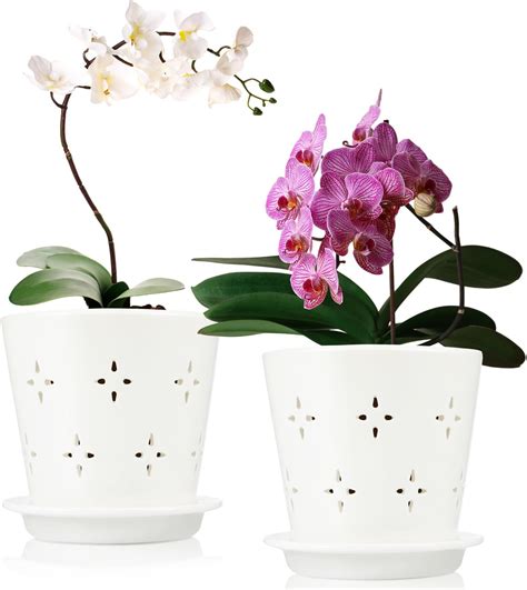 5 Orchid Pot