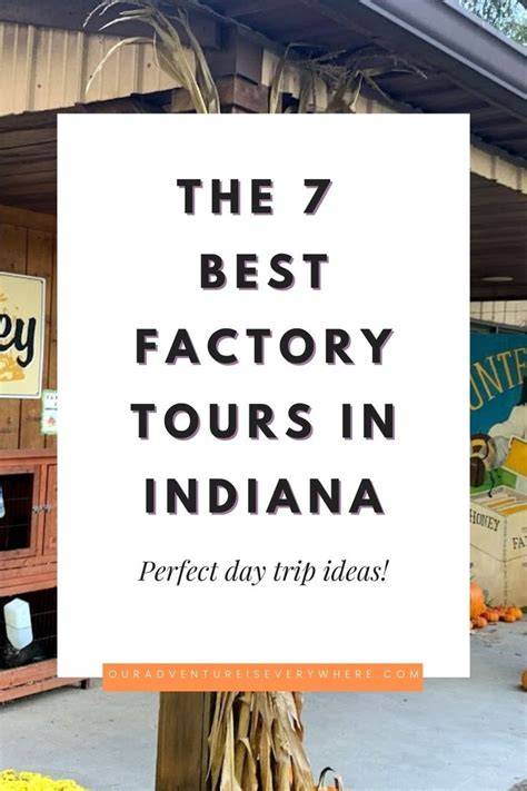 5 Popular Factory Tours in Lowlands