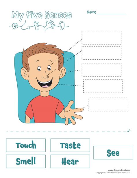 Worksheet for Toddlers