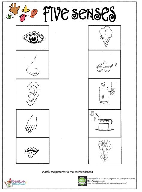 5 Senses Worksheets For Kindergarten