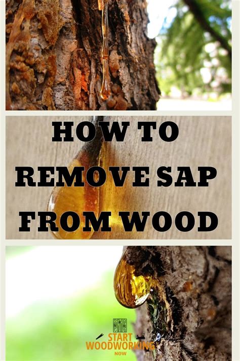 Removing Pine Sap