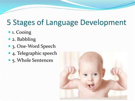 5 Stages Language