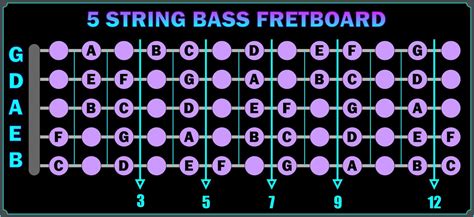 5 String Bass Fret Chart