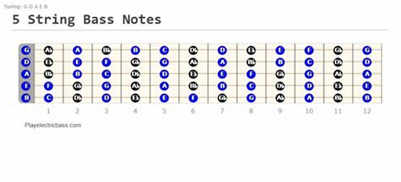 5 String Bass Notes Chart