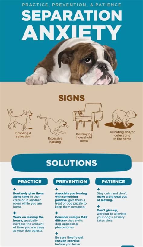 5 Ways to Stop Puppy Crate Barking