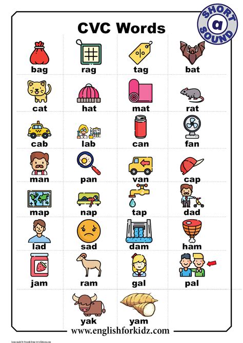 5 example of cvc words