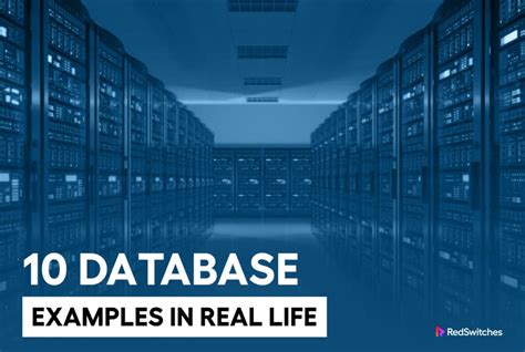 5 example of database in real life