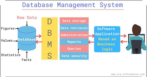 5 examples of database management