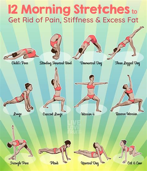 5 Examples Of Flexibility Exercises