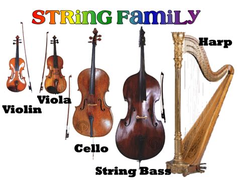 5 examples of string instruments