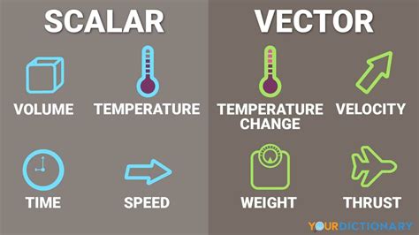 5 examples of vector and scalar quantities