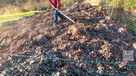 5. Apply the leaf mulch in spring
