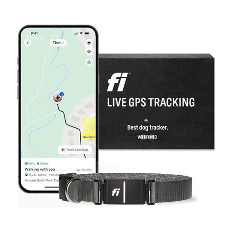 5. Dog Buddy: Activity Tracker