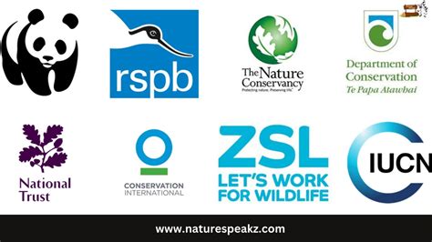 Environmental Non-Government Organizations