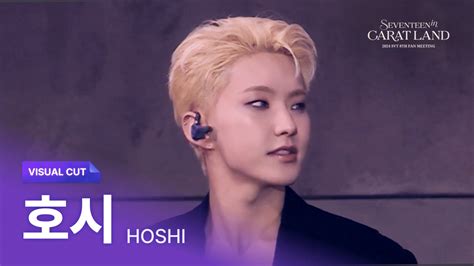 5. Hoshi