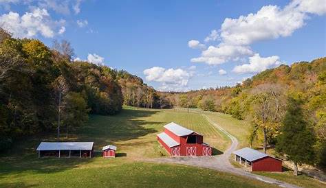 50 Acres For Sale In Tennessee With Pond Farm Primm Springs