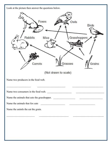 50 Food Web Worksheet Pdf | Chessmuseum Template Library