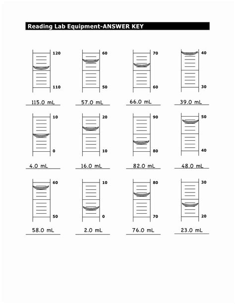 50 Reading A Graduated Cylinder Worksheet | Chessmuseum Template Library