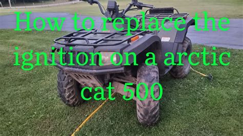 500 cat