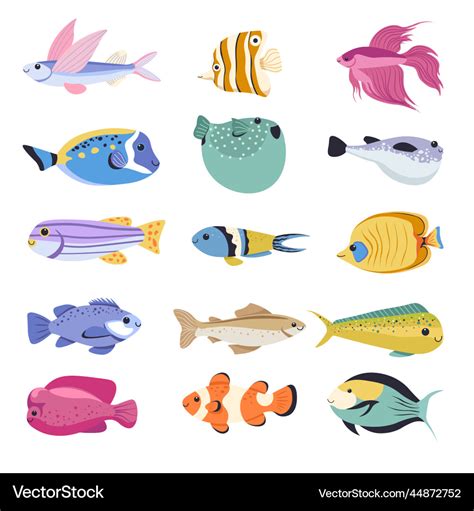 52 Chronological - Tropical Fish