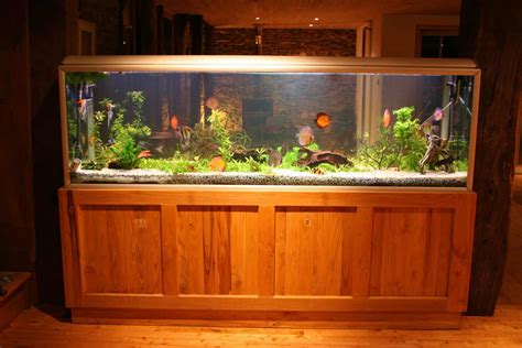 55-gallon fish tank