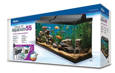 55 gallon fish tank size