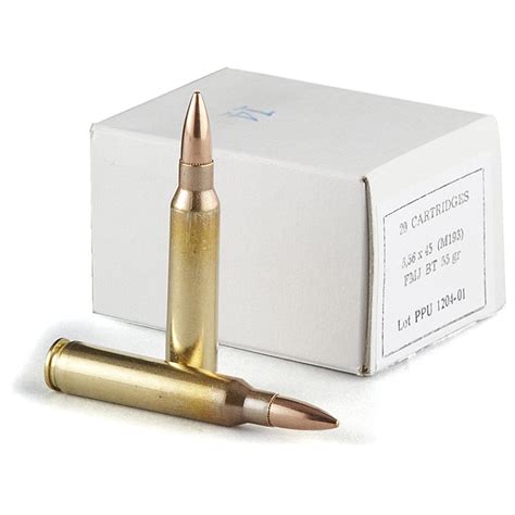556 Ammo In A 223 Rifle
