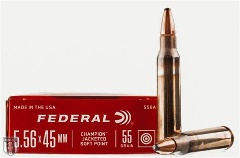 556 incendiary ammo