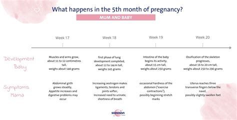 Unlocking the Wonders of Your Baby's Growth and Development: A Guide to the 5th Month in Weeks