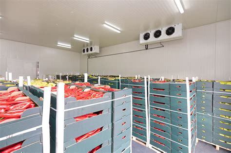 6 ) opt Cold Storage