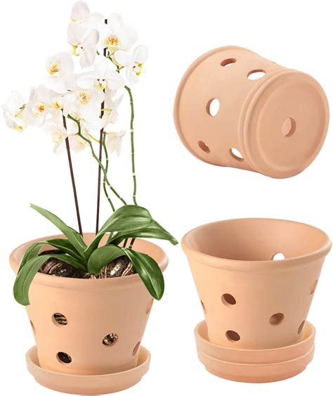 6 Orchid Pots