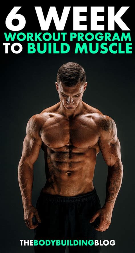 6 Week Mass Building Workout Routines