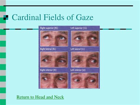 6 cardinal fields of gaze