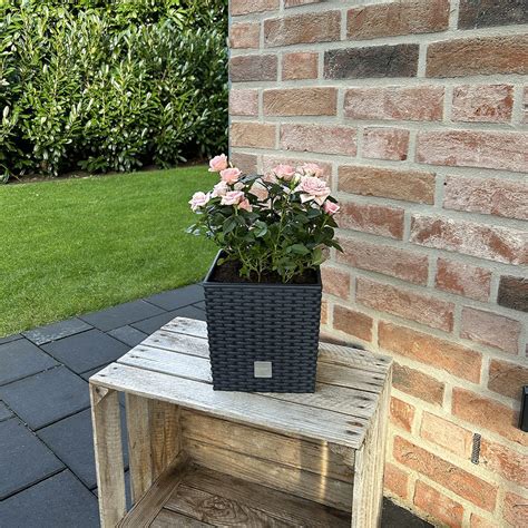 Blumentopf 9 Liter DecoWoerner