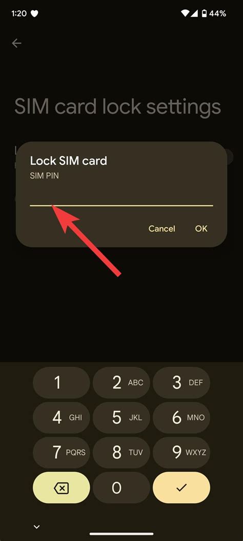 6. Check if your SIM has a pin