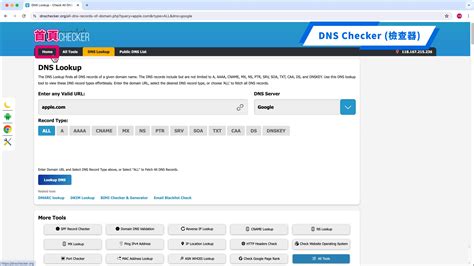 6. DNS Checker