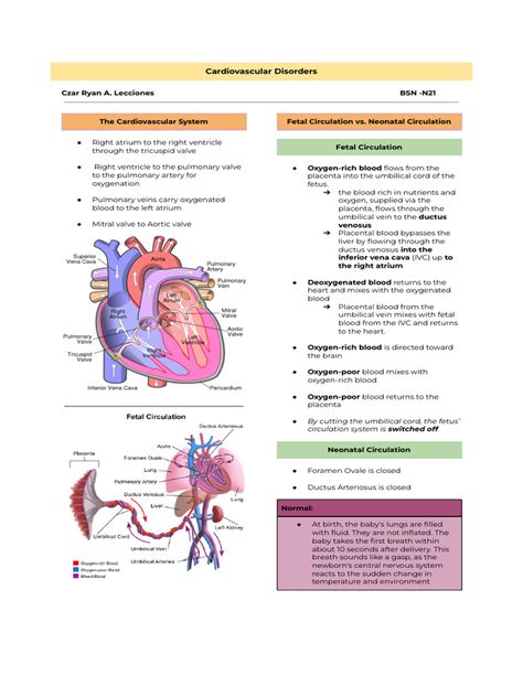 6. Essential Insights into Heart Atrium Disorders and Functions
