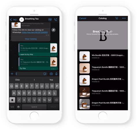 6. Identify a Catalog in Chat